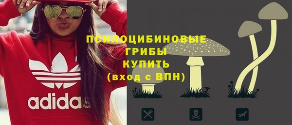 ПСИЛОЦИБИНОВЫЕ ГРИБЫ Алзамай